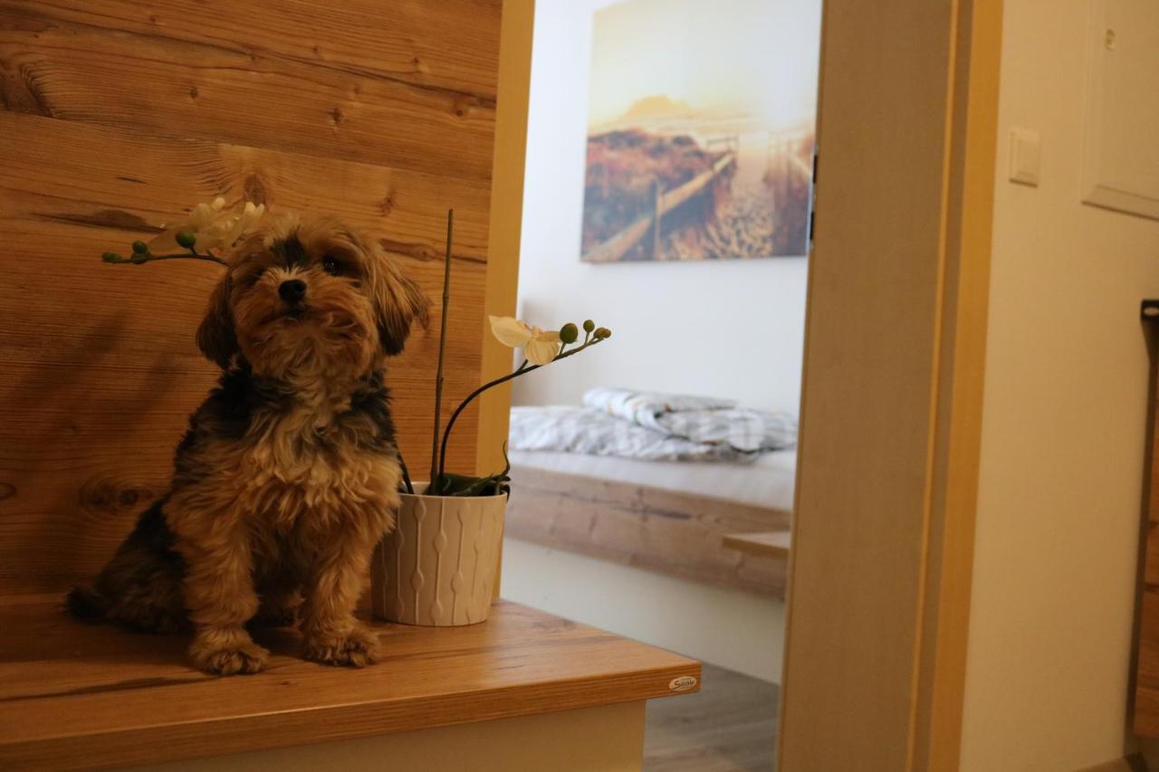 Zirben Diamant Rooms & Dogs Obdach Екстер'єр фото